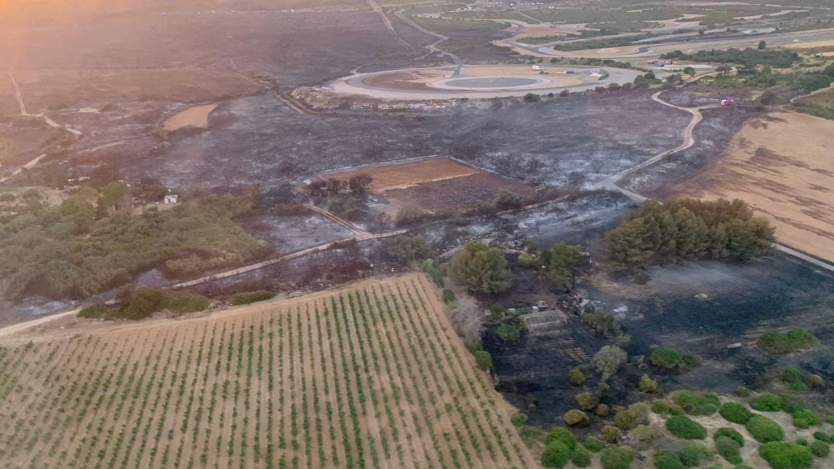 PANIQUE DANS L’HÉRAULT : 400 HECTARES DE FORÊT BRÛLÉS PAR UN INCENDIE CRIMINEL