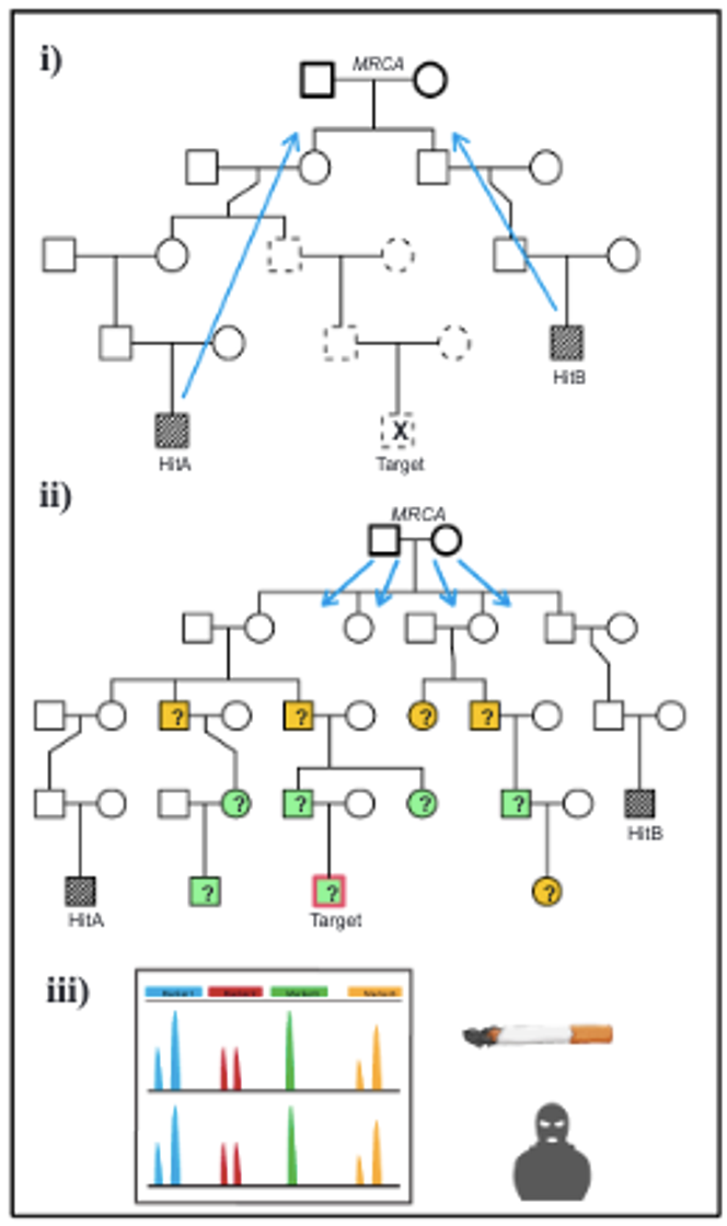 L’arme ultime des forces de l’ordre : La généalogie criminelle